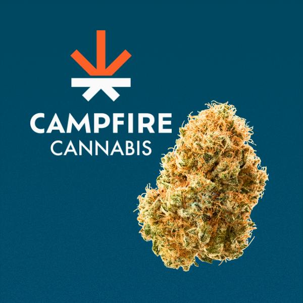 CC*Orange Runtz*4g Flower*16.8%