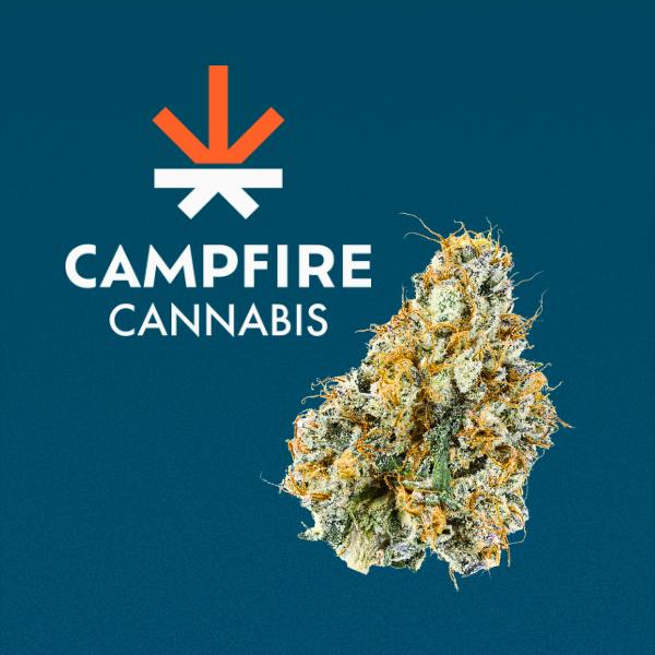 CC*Gary Payton*4g Flower*17.9%