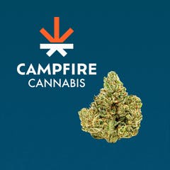 CC*GG4*4g Bag*19.7%