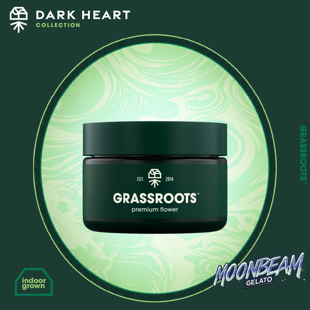 Dark Heart Moonbeam Gelato Whole Flower