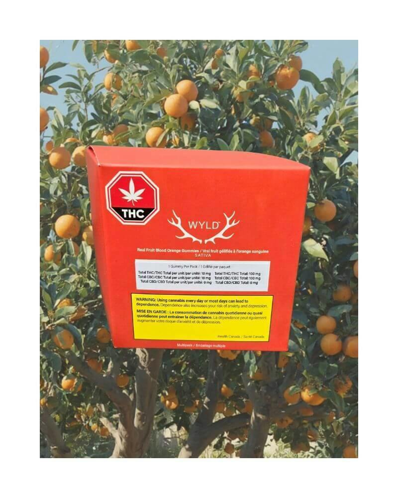 Real Fruit Blood Orange Multipack Soft Chews | 100mg THC + 100mg CBC