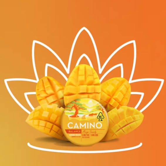 Kiva Confections - Camino: Mango Serenity Balance