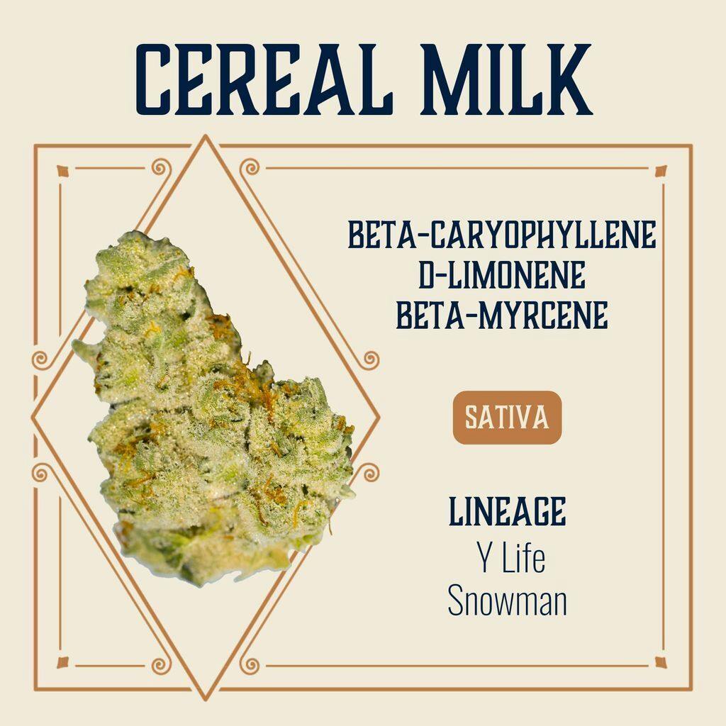 Elevate Cereal Milk Popcorn 7g