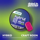 Hula Berry Rosin Gummies