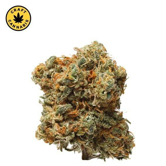 1964 - Blue Dream - 28g