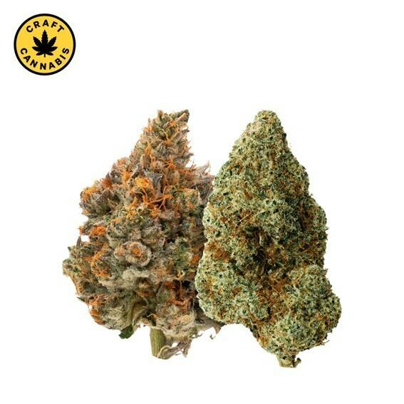 Carmel - Two Pack: Mystery Made & Bully Kush - 7g