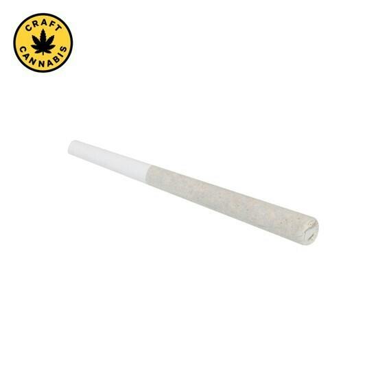 Broken Coast - Milk & Cookies Pre-roll - 1x0.5g