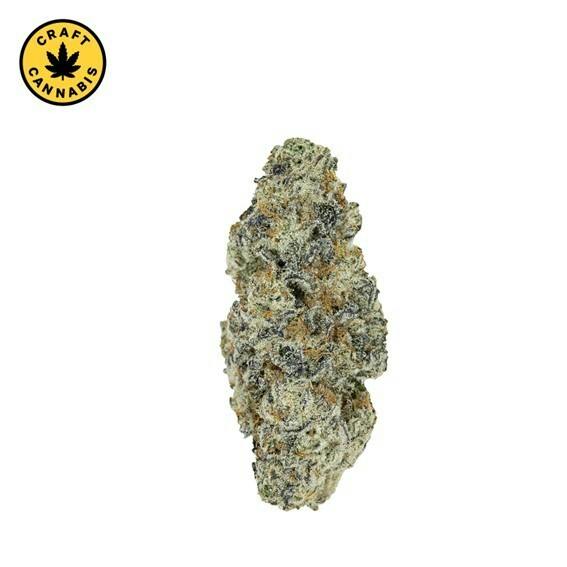Pistol and Paris - Perma Fried - 14g