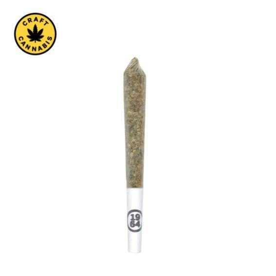 1964 - Pink Drip Pre-Roll - 1x1g