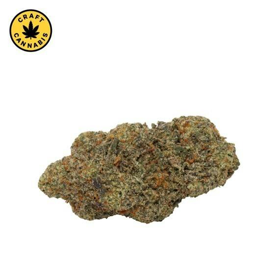 Carmel - Magic Pop RX - 14g