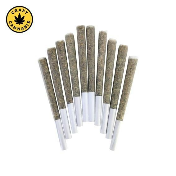 BC Doobies - TootZ Pop Pre-Roll - 10x0.5g
