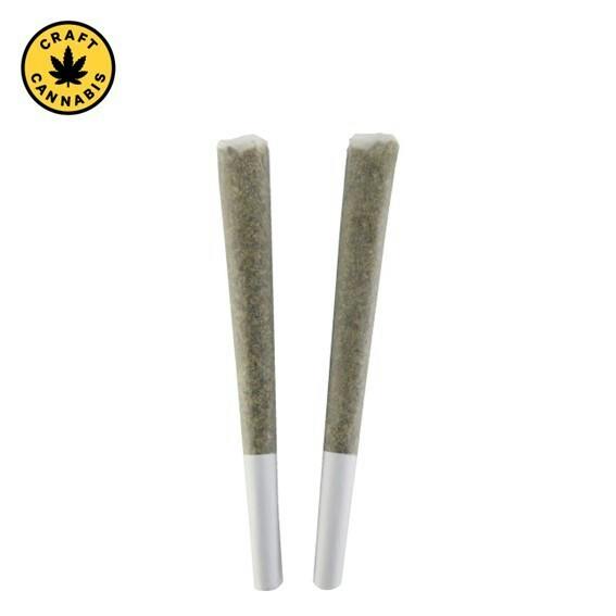 BC Doobies - Bubblegum Ice Cream Pre-Roll - 2x1g