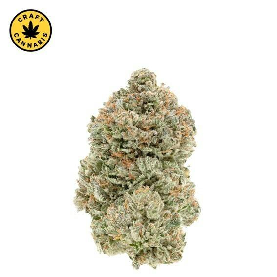 1964 - Stinky Pinky - 28g