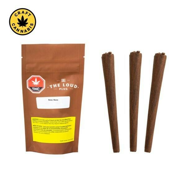 The Loud Plug - Benny Blunto Pre-Rolls - 3x0.5g