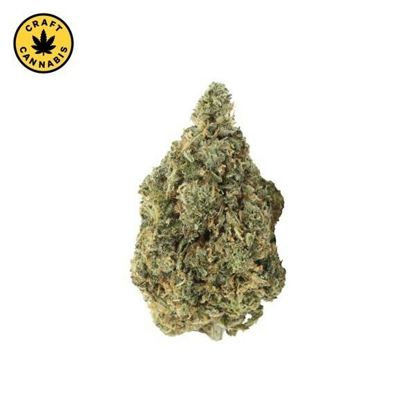 Carmel - Bubblegum Marker - 14g