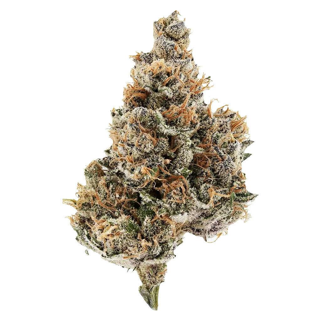 Potluck - Raspberry Runtz - 7g