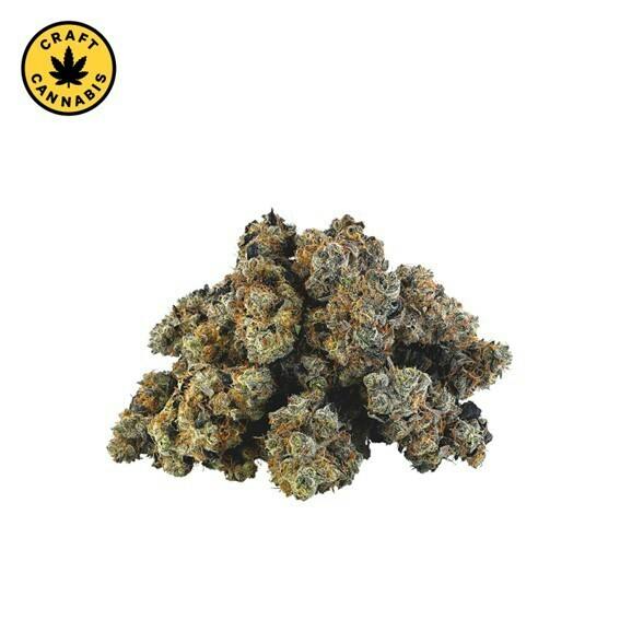 DEALR - Baccarat - 14g