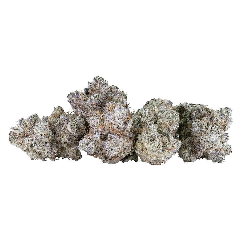 Tribal - Neon Sunshine - 14g