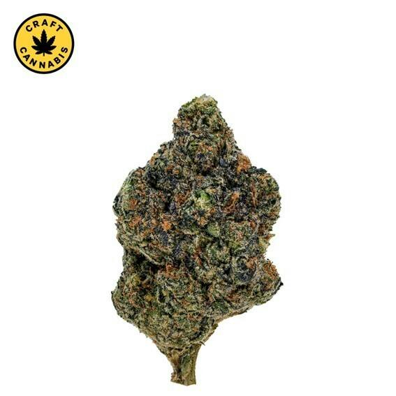 1964 - Gasolina - 7g