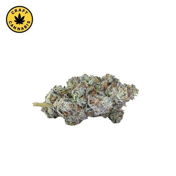 Sixty Seven Sins - Mind Playa - 7g