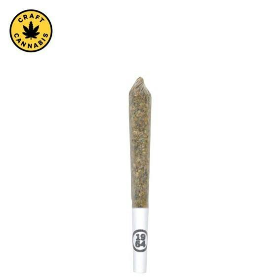 1964 - Stinky Pinky Pre-Roll - 1x1g