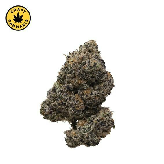 Pistol and Paris - Pink Rockstar - 7g