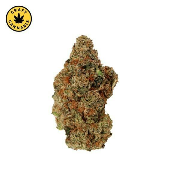 Carmel - Jelly Donut - 14g
