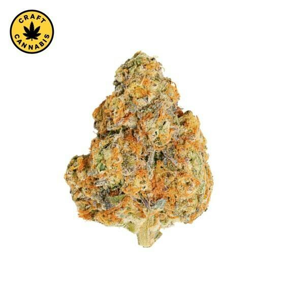 Qwest - Morning Sun Craft Whole Flower - 7g
