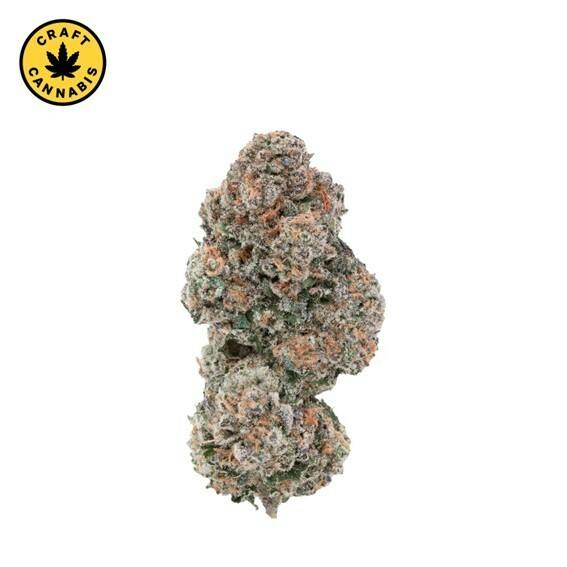1964 - Sour Congo - 7g