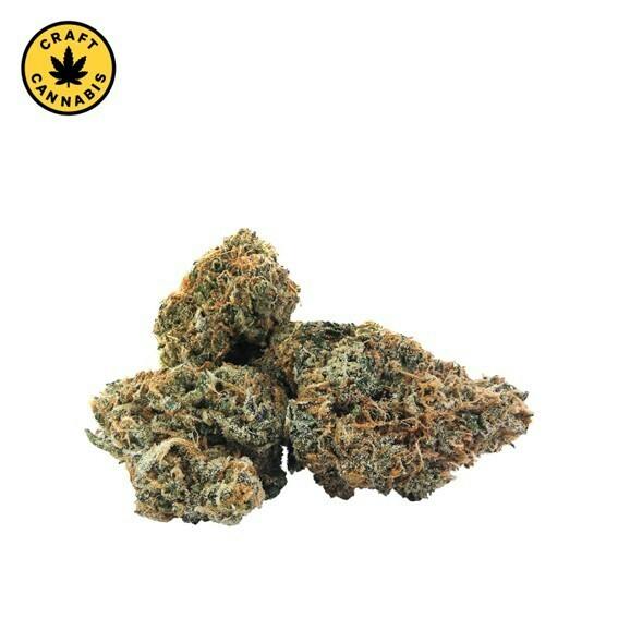 Pistol and Paris - Hawaiian Fanta - 14g