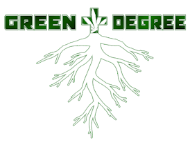 Seeds | Blue Steel | 3pk