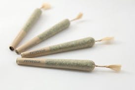 Sherbanger | .5g PR | Hybrid