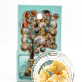 Dosi Haze | 1g Sugar | Next Level Labs
