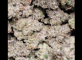 Apple Colada | Hybrid