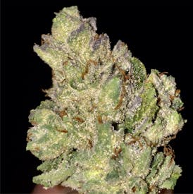 Peach Crescendo | .5g PR