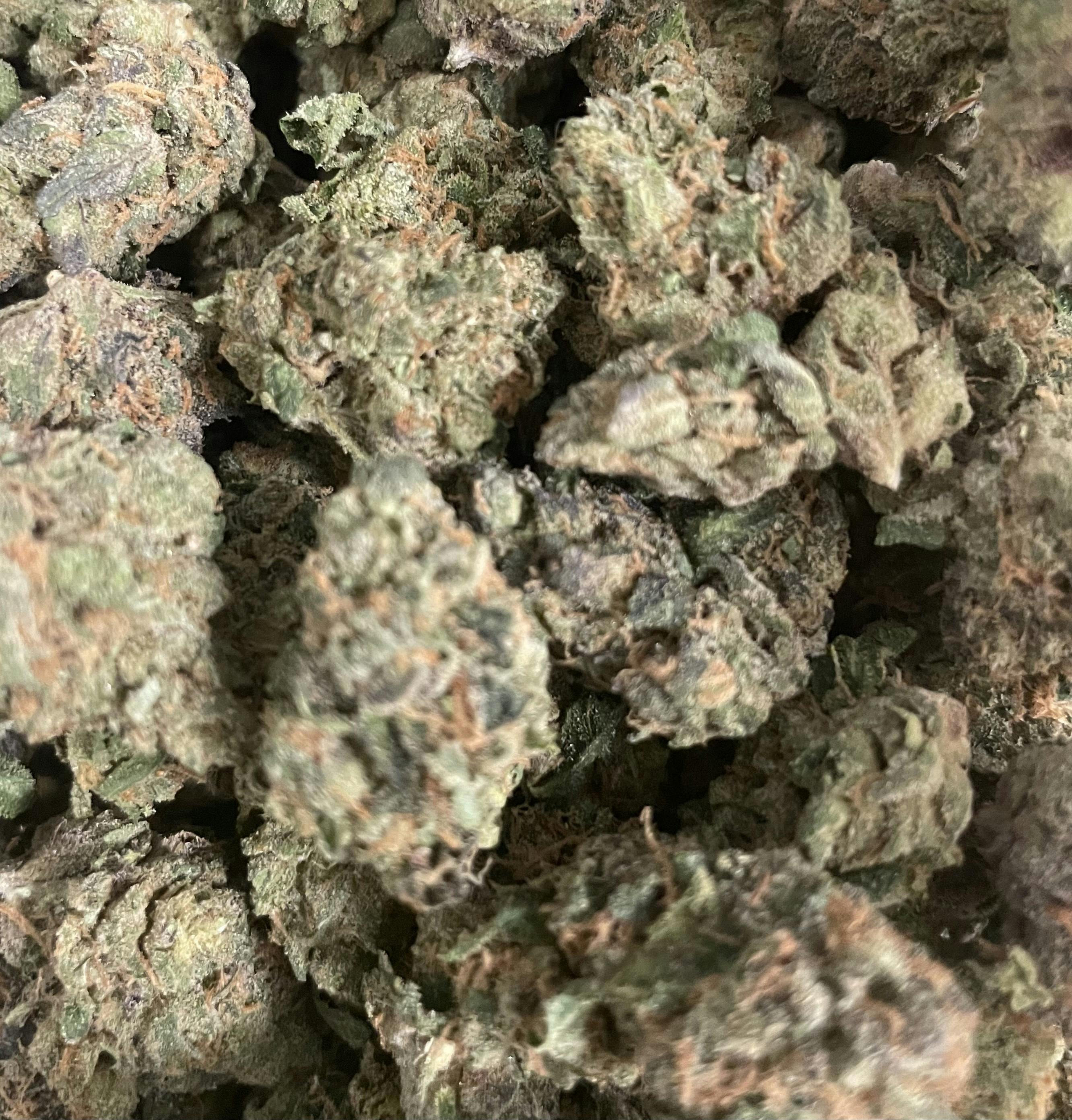 Gummi Bear | Flower Hybrid