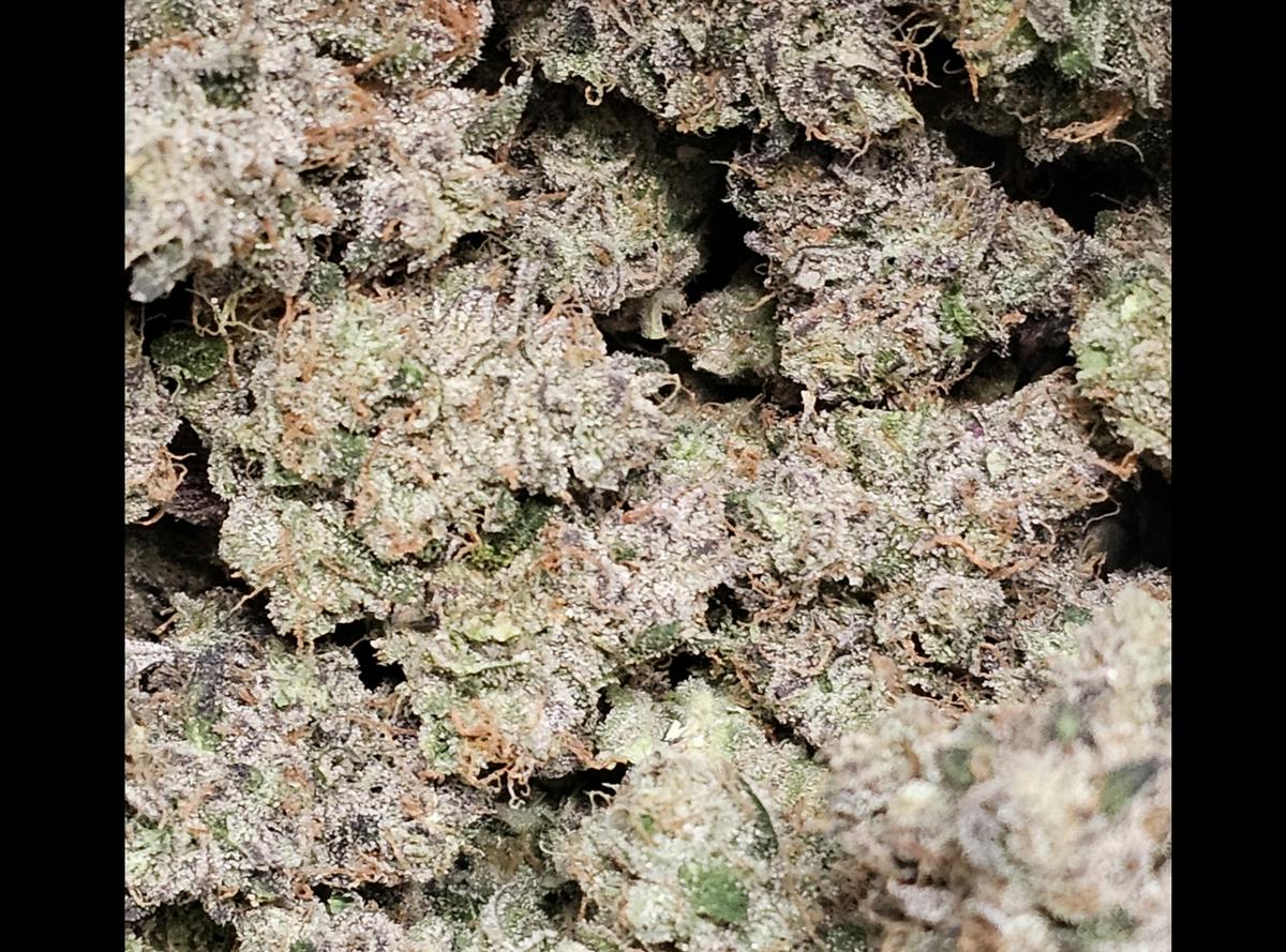 Apple Colada | Hybrid