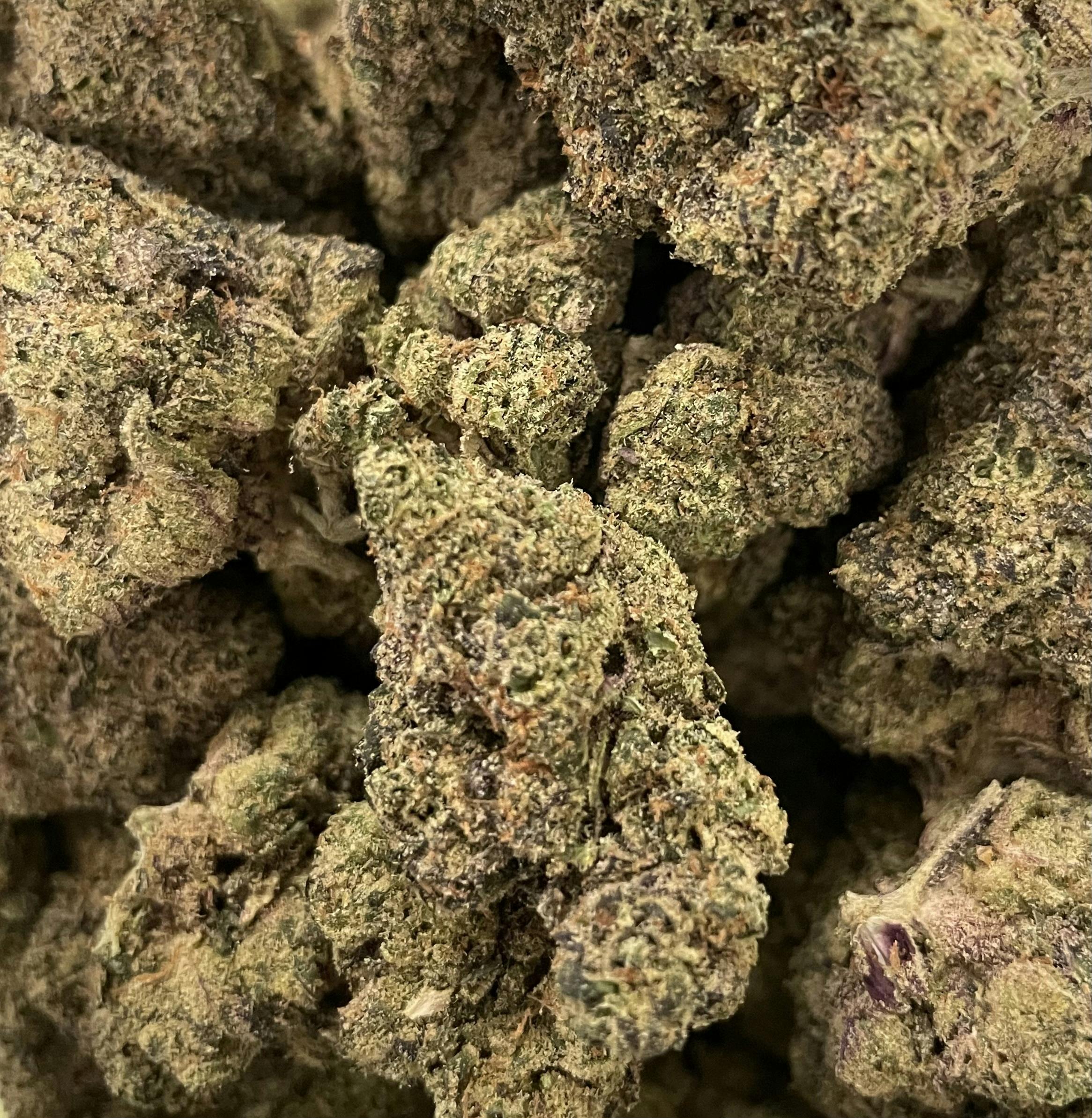 NLL | Reptile Zoo | Indica-Hybrid Flower