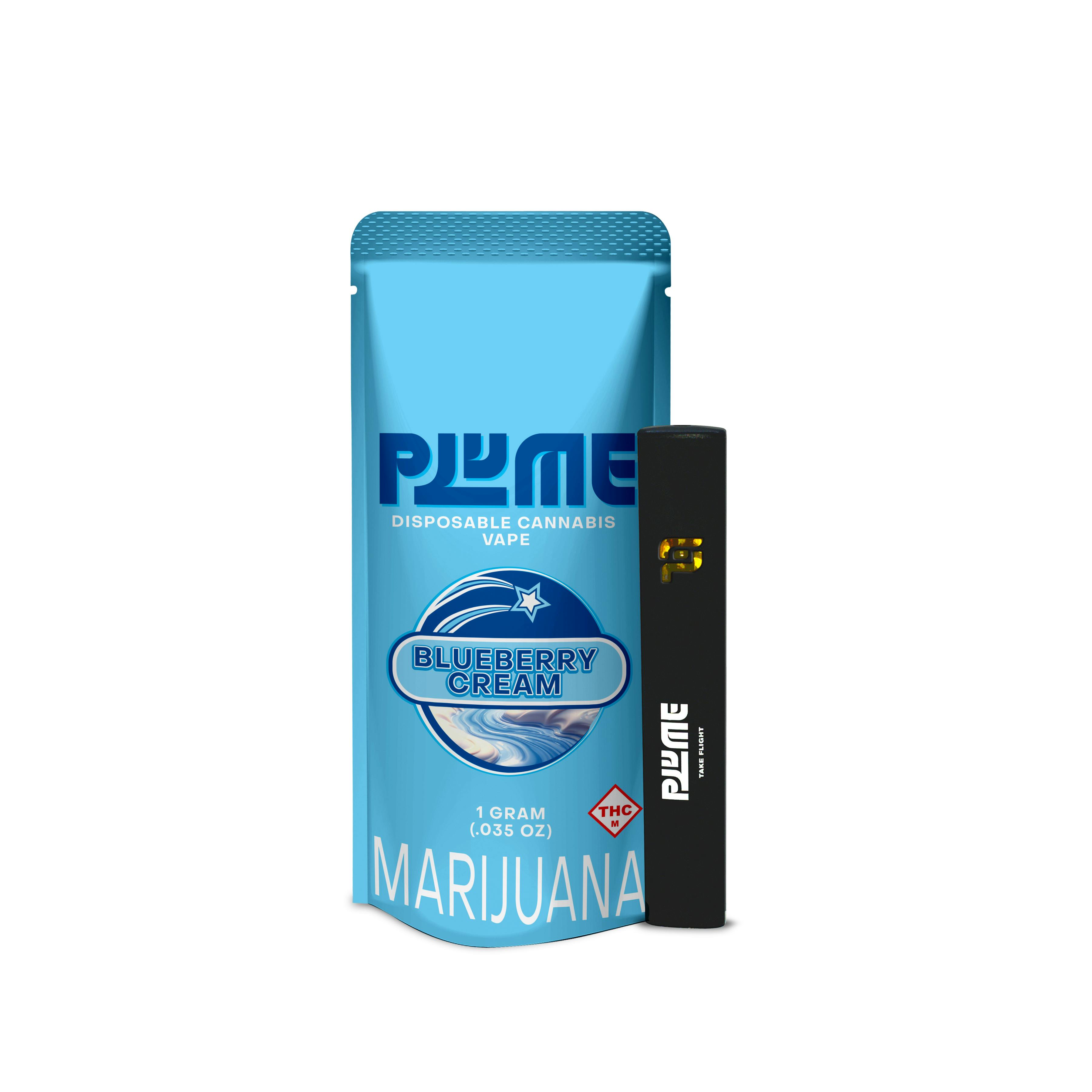 Blueberry Cream | Disposable