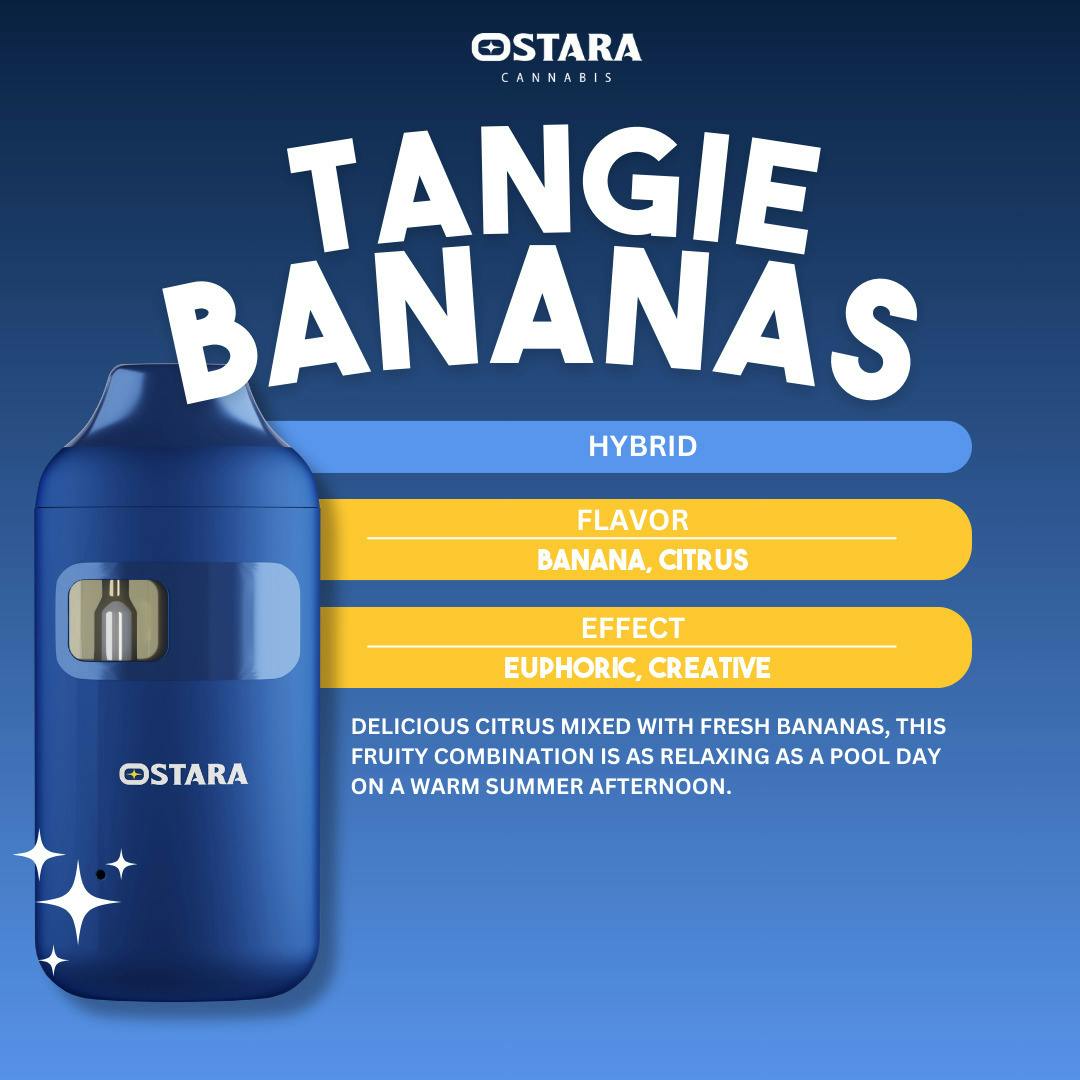 Tangie Bananas | Disposable