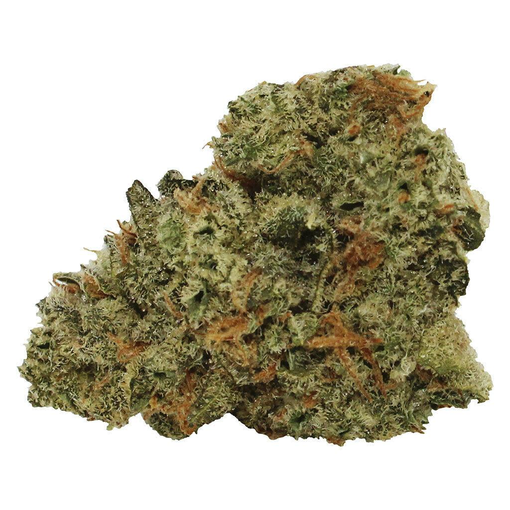 Tam Tams Tropical Milkshake 7g Dried Flower