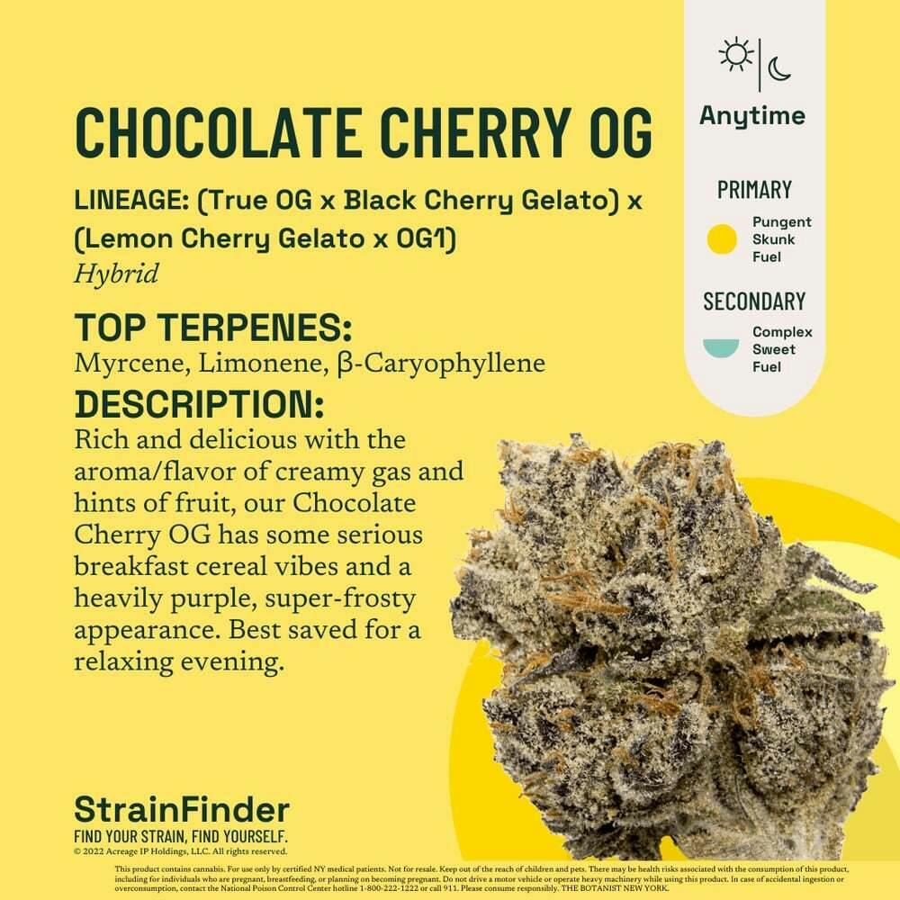 Chocolate Cherry OG [.5g]