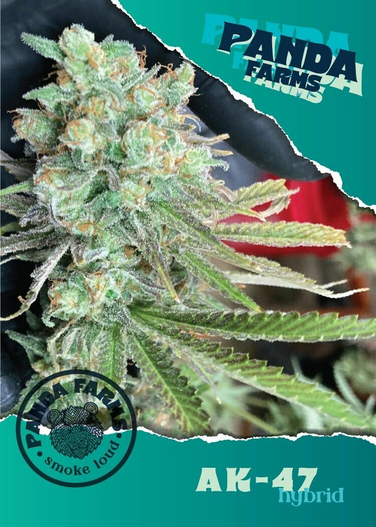 Ak 47