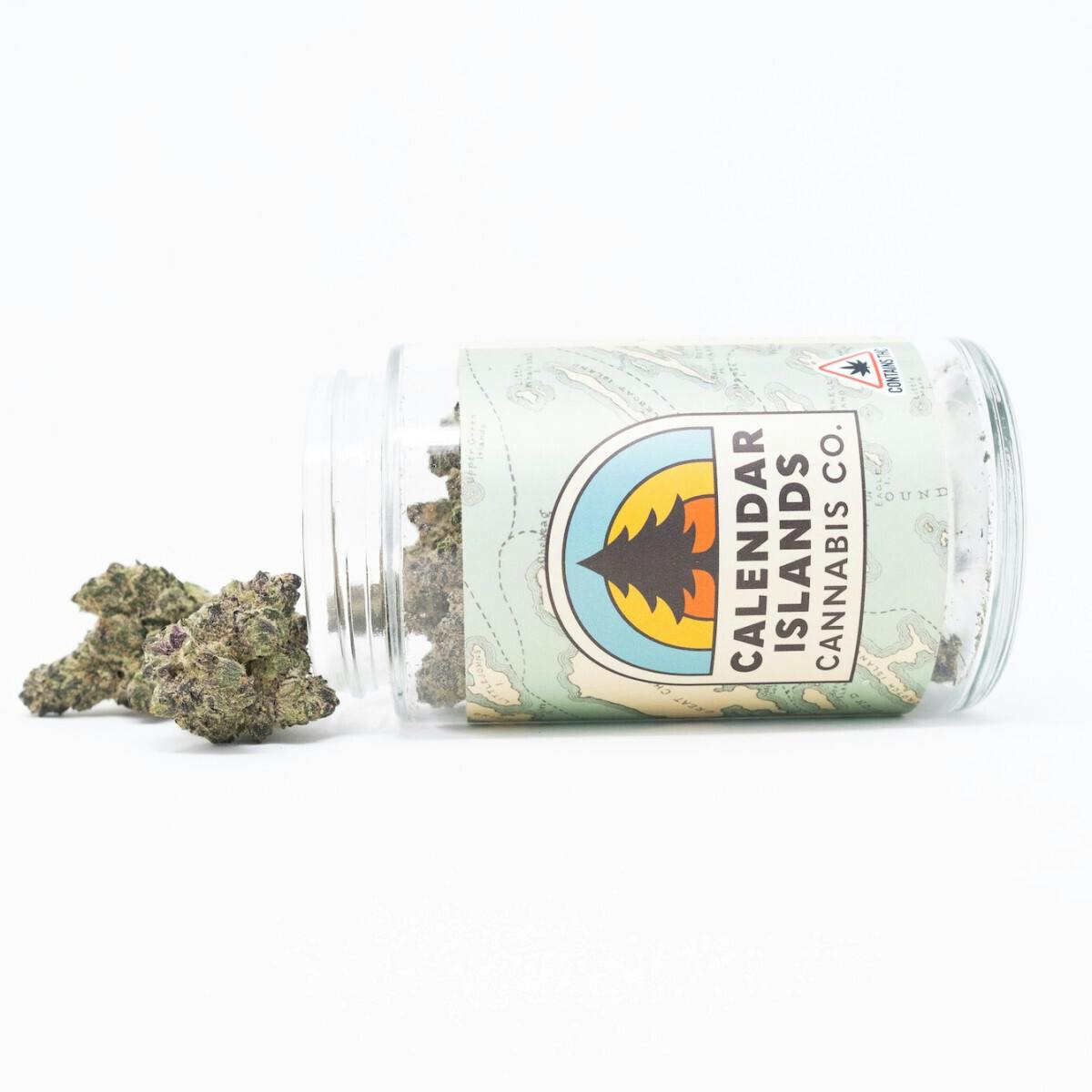 Tropical Punch | Flower