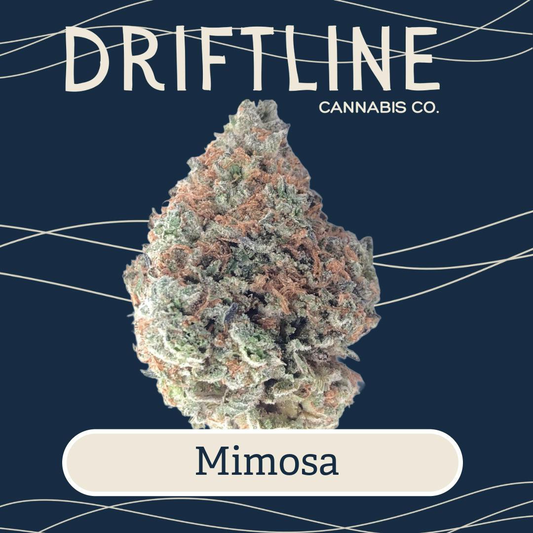Mimosa | Flower