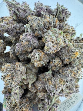 Priscilla's Garden - Candy Panties - Flower