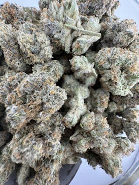 Priscilla's Garden - P's Sour - Flower