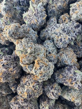 Priscilla's Garden - Mai Tai #4 - Flower