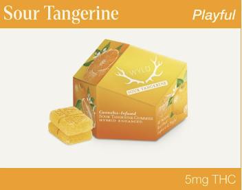 Wyld | Sour Tangerine (Hybrid) | 100mg THC
