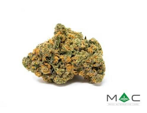 MAC | Forbidden Spice (SH) | 3.5g Flower